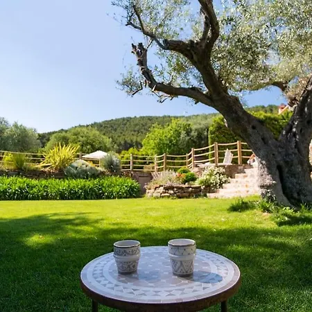 Nossi Be * Carqueiranne